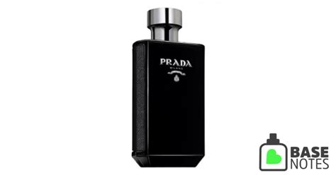 basenotes prada intense|Prada intense reviews.